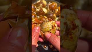 Balut eggs are super delicious(part429)#funy #mukbang #short #animals #fyp #asmr