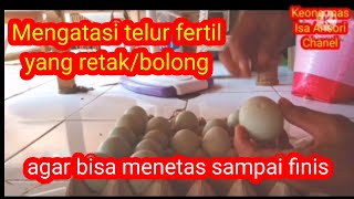 Cara mengatasi telur retak