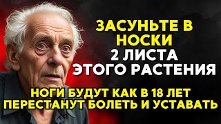 Ноги 100% ПЕРЕСТАНУТ болеть и уставать! Просто ПОЛОЖИТЕ в носки 2 листа...