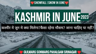 kashmir in june | snowfall / snow in Kashmir | Hotel | Budget | Gulmarg Kashmir