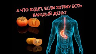 А ЧТО БУДЕТ, ЕСЛИ ХУРМУ ЕСТЬ КАЖДЫЙ ДЕНЬ / Польза и вред хурмы.