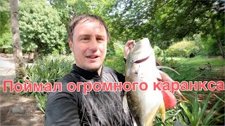 Подводная охота на пляже Окаталь в Коста Рике в городе Ель Коко. поймал огромного каранкса.