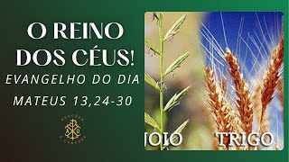 EVANGELHO DO DIA 27/07/2024 - MATEUS 13,24-30 - O REINO DOS CÉUS