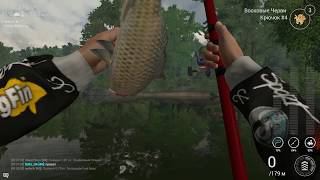 Пытаюсь ловить трофеи в Fishing Planet