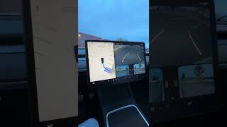 Testing out autopark FSD 12.3.2.1 #teslafsdbeta #autopark #teslamodely #fsd