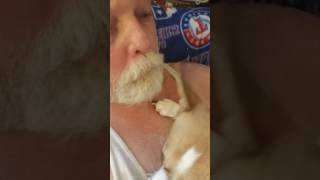 Dog Gets Bugs Out of Owners Beard