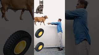 cat cow hours attack  funny video vfx #tranding  #vfxlavnish