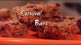 Walking Dead: Survival Bars