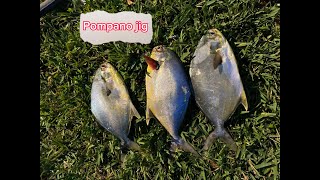 #001 #pompano - Beach fishing using pompano jig. Lucky day