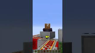 Minecraft's Most Hilarious Glitch