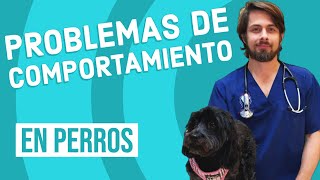 Problemas de Comportamiento en Perros