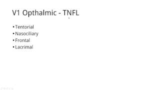 [TOPIC 2,3] Memorize the Trigeminal nerve branches in 5 minutes