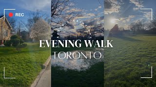 Chill Evening Stroll in the Park in Toronto (2024)