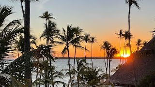 Barcelo Bavaro Beach, Dominican Republic  🇩🇴