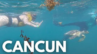 Cancun Travel Vlog | Chichen-Itza, Cenote, Playa del Carmen, Whale Shark, Isla Mujeres, Snorkeling