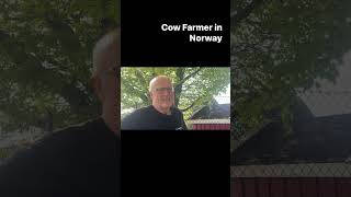 In Norway, farmers give the first milk from cows, called colostrum, to lambs