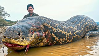 Surprising discovery The deadliest monsters of the Amazon River