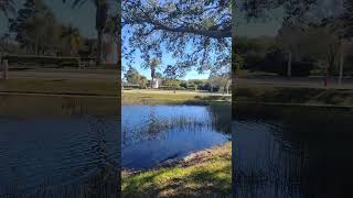 #NATURAL #BEAUTY #FOUNTAIN #WATER