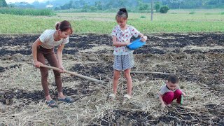 Digging drainage channels to plant corn - burning straw in daily life