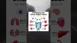 PENTINGNYA AIR UNTUK ORGAN TUBUH