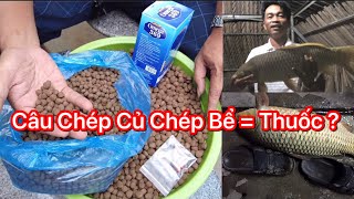 Hứong Dẫn Làm Mồì Thuốc Tây Câu Chép Củ Chép Bể Hiệu Qủa