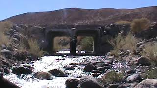 CHILLING IN THE RIVER, 15 JUL 24