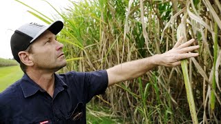 Planet Shapers - Cane Growers and the Great Barrier Reef