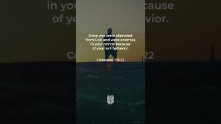 Colossians 1:19-22 #bible #niv #biblevision