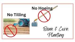 Create a No Till / No Grass; Bean & Corn Planting