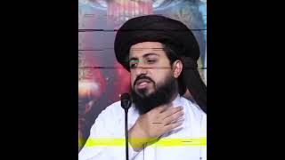 Agar  Zameer  Zinda  ha to | Sad Hussain  Rizvi  | @mystylemyvloge8556