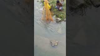 catching fish 🐠 in SALANDI river ......