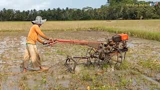 gas poollll!!joki muda mengolah tanah  mengguanakan traktor sawah quick g1000 gas pooll terus