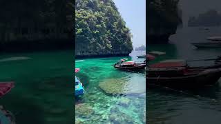 Phi Phi Island 🏝 #shorts#travel