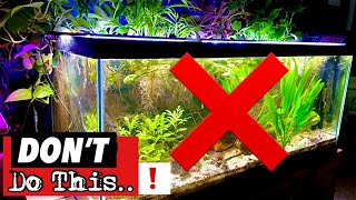 BEST Beginner Aquarium Tip!