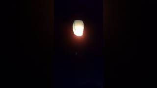 Sky lanterns #fanus #highlights #everyone #diwali #dipawali #kalipujo2024