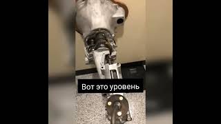 унитаз настоящего слесаря