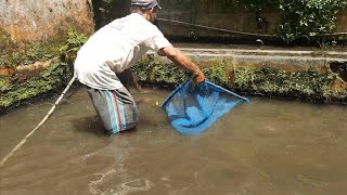 Menangkap ikan dan rilis ikan di sungai, DILARANG SETRUM & OBAT ‼️