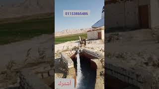 #للبيع360فدان الفرافره الوادى الجديد بسعر مفاجاه اتصل بنا 01153865486