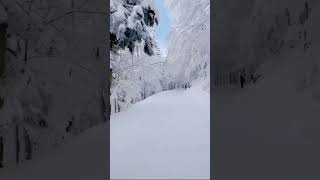 Snow Scene TikTok travelvideo888