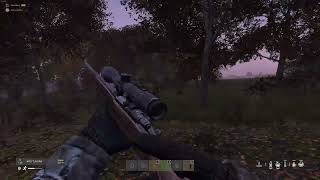 Dayz possible kill