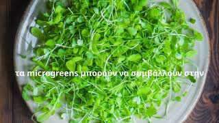 Τα Απίστευτα Ωφέλη Των Microgreens Για Την Υγεία Σου 🌱