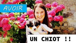 PREMIERS GESTES AVEC SON CHIOT w/ bébés chiens trop mignons ✿ Enjoying Life