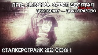 Сталкерстрайк. Путь Новичка. Серия Десятая. Финал