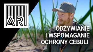 Odżywianie i wspomaganie ochrony cebuli || AR #151