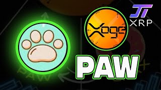 Paw (Xoge) - Pealing Back The Layers of this Multilayered Crypto Asset