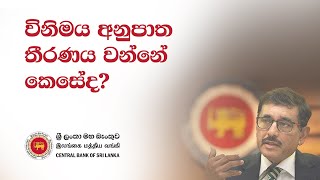 විනිමය අනුපාත තීරණය වන්නේ කෙසේද?