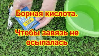 Борная кислота  Чтобы завязь не осыпалась