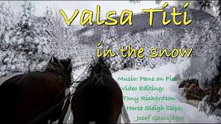 Valsa Titi in the Snow