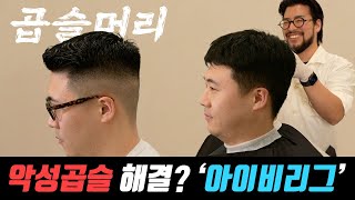 인간비숑 '악성곱슬 스타일링' 해결은 아이비리그로 !!!?