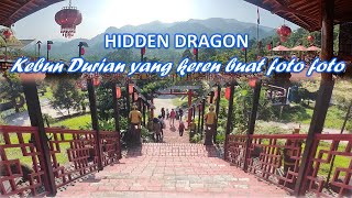 HIDDEN DRAGON KEBUN DURIAN YANG KEREN UNTUK FOTO FOTO | HIDDEN DRAGON CIGUDEG